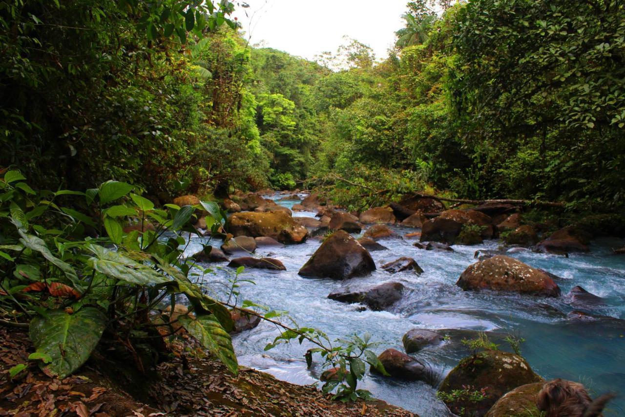 Rio Celeste Nature View Upala Exterior photo